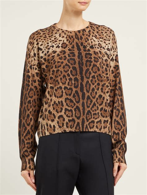 dolce gabbana leopard sweater|dolce and gabbana cashmere sweater.